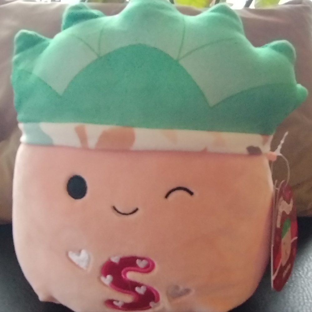 Abena the 8" Succulent Squishmallow with "S" Monogram
